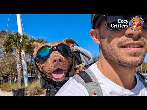 He Suddenly Stopped Walking — And Now He Just Wants to Stay Here #Video