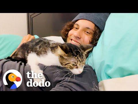 Feral Cat Does This And Wins Foster Dad Over #Video