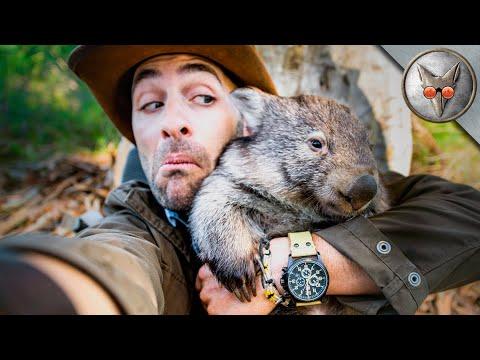 Baby Wombat Set Loose! - in VR180!