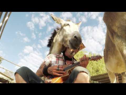 Hazel Cant Help Falling In Love #Video