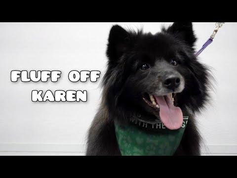 Screaming dog deafens his groomer | I've never heard a scream like this #video