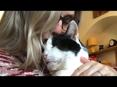 Cat is so loving with family that adopted him #Video