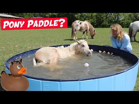 I bought my ponies a PADDLING POOL! Emma Massingale