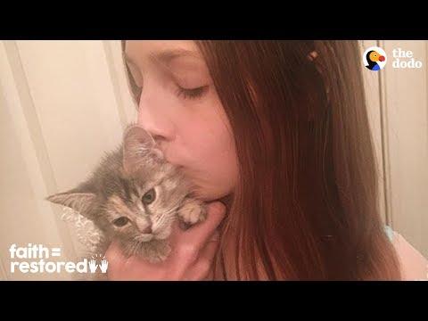 12-Year-Old Girl Fosters Kittens Nonstop | The Dodo Faith = Restored