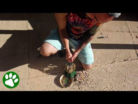 Man breaks feeder to save bird #Video