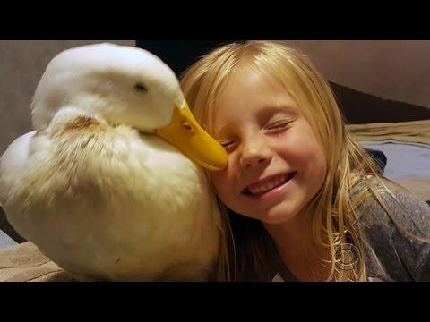 Duck Pals: A Girl And Her Duck
