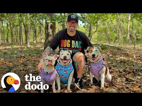 Guy Keeps Adopting Deaf Dogs Who Help So Many People #Video