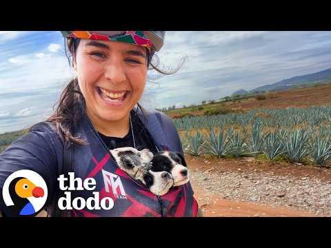 Woman Went for A Bike Ride — And Her Life Was Forever Changed #Video