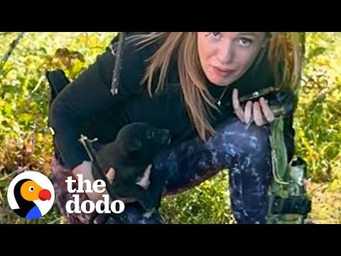 Woman Rescues Puppy From Under A Shipping Container #Video