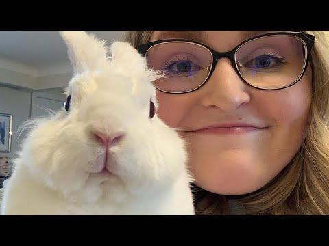 I adopted a bunny that intimidated me #Video