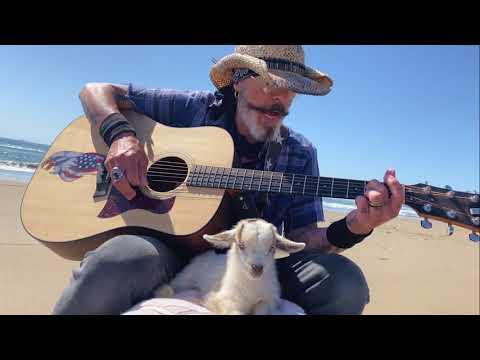 Magical Baby Goat Loves Classic Rock Music On The Beach Video