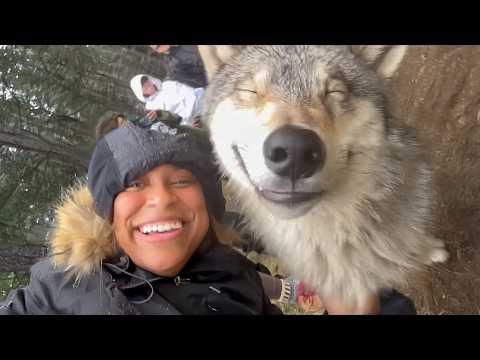The Funniest Animals Video of 2026 You've Ever Seen! #Video