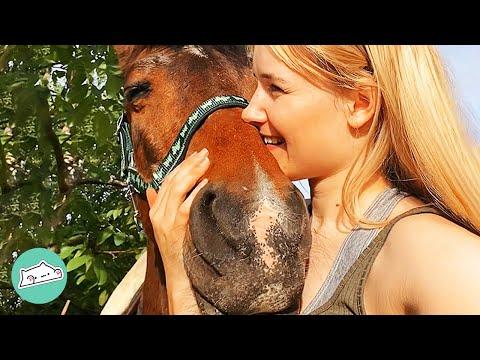 Horse Was Discarded By Breeder. Girl Gave Him Second Chance #Video