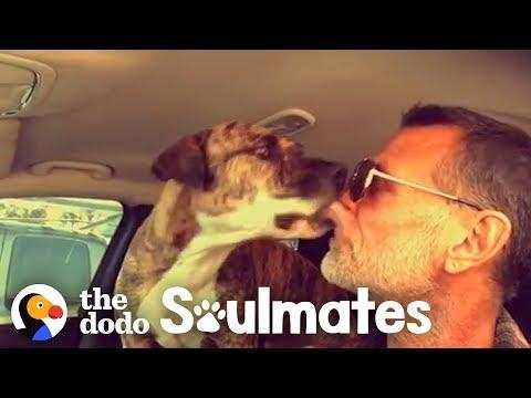 Watch This Guy Reunite With His Pit Bull That Went Missing In Car Crash | The Dodo Soulmates