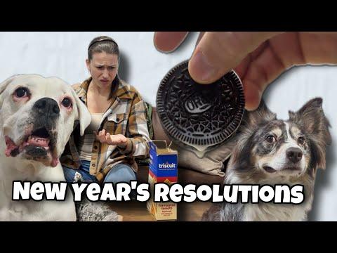 Helping Mom Stick to Her Resolutions! Layla The Boxer #Video