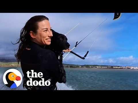 Dog Cries Until Mom Takes Her Kitesurfing #Video