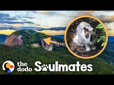 Couple Rescues Cat Stranded On Mountaintop | The Dodo Soulmates