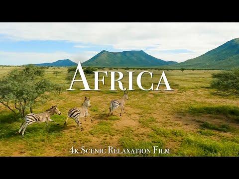 Africa 4K - Scenic Relaxation Film With Cinematic FPV #video