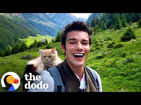 Guy Never Expects He'd Explore The Mountains With His Cat #Video