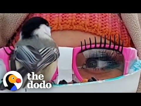 Woman 'Catches' Birds On Her Face #Video