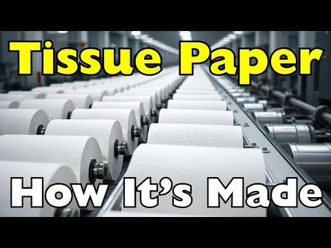 How Are Tissue Papers Made? From Wood to Ultra-Soft Sheets #Video