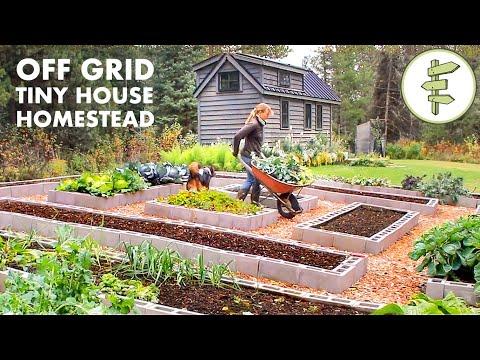 Living Off-Grid on a Tiny House Homestead for 6 Years