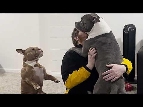 Dog hilariously waits in line for his pets #Video