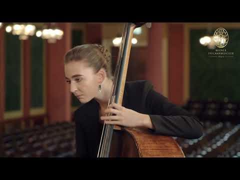 Pink Panther on Double Bass | Vienna Philharmonic #Video