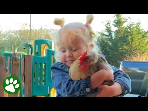 Girl really loves her rooster #Video