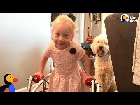 Dog Was SO Proud When Her Human Sister Finally Walked  | The Dodo
