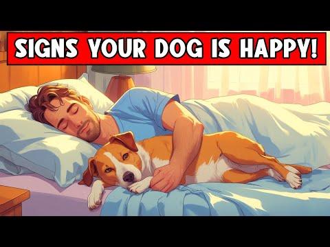 12 Signs Your Dog Is VERY HAPPY And HEALTHY! #Video