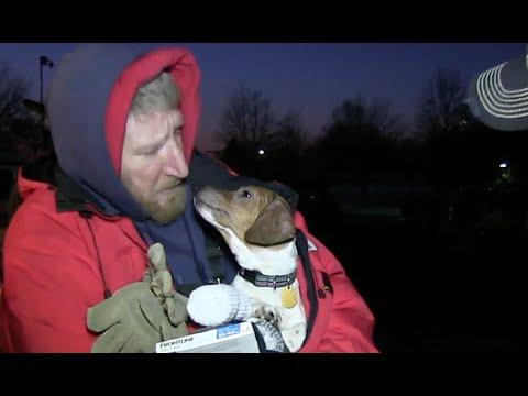 Homeless Dog Rescue - Mabe In America