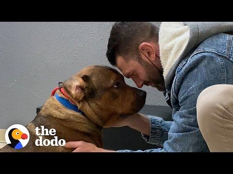Guy Promises He's Not Going To Keep His Foster Dog... #Video