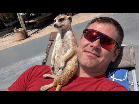 When Animals Become the Best Part of Your Day #Video
