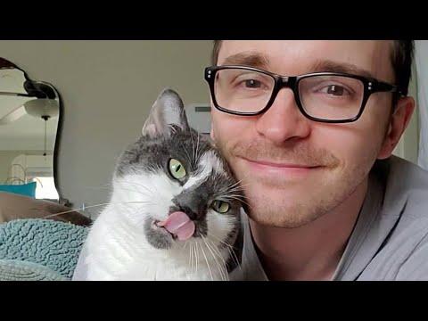 What happened when a non-cat guy adopted disabled kitten video