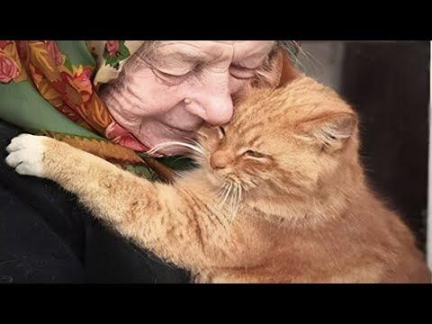 Special Ways CATS Show That YES, They ACTUALLY Love You #Video