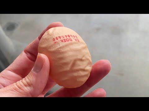 A Really Wrinkly Egg. Your Daily Dose Of Internet. #Video