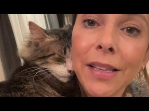 Scared cat melts when woman shows him love #Video