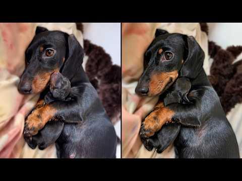 This New Mom Wouldn’t Let Go Of Her Newborn Baby #Video