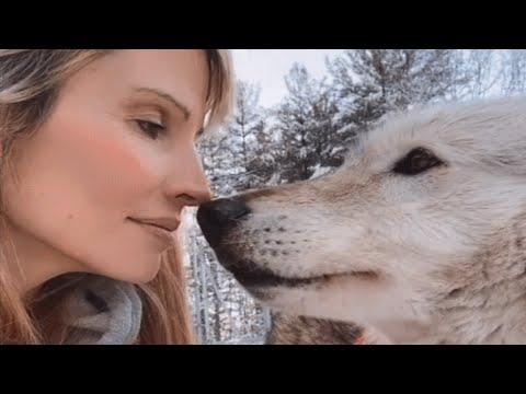A wolf made this woman part of her pack #Video