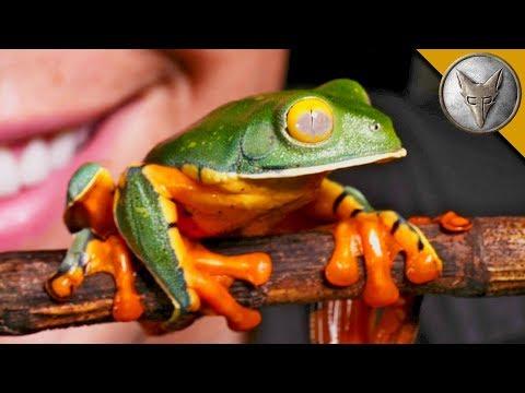 This Frog Will SURPRISE You!