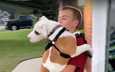 12-Year-Old Kid Has Saved 4,800 Shelter Dogs #Video