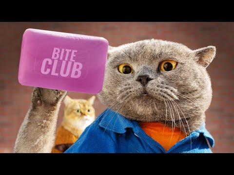 Bite Club Video - AaronsAnimals