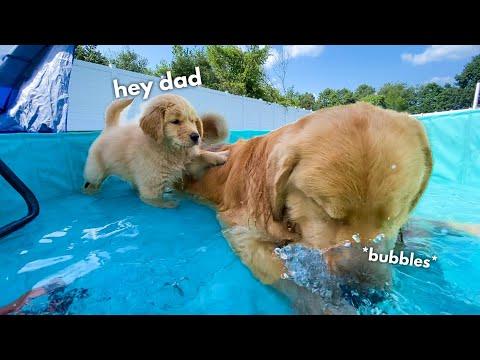 Tucker Shows Todd How to Swim #Video
