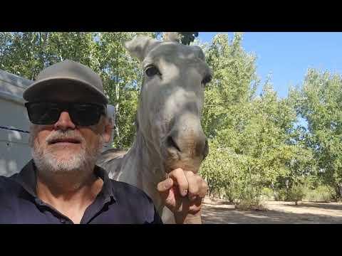 The mind games #Video