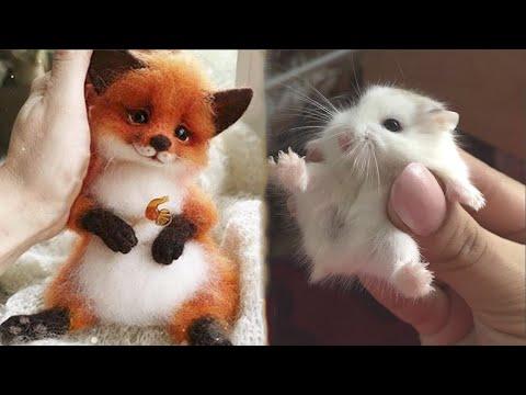 Cutest baby animals Videos Compilation Cute moment of the Animals - Cutest Animals 2021