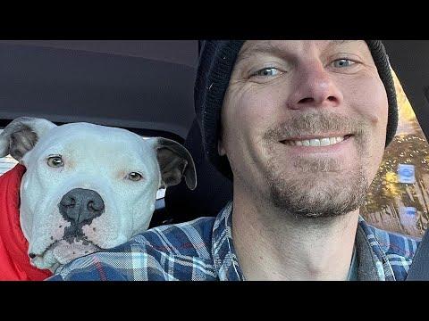 Shy rescue dog is a total daddy's girl #Video
